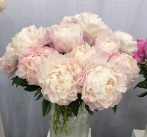 gardenia peonies