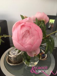 pink balloon peony