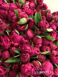 red sarah bernhardt peonies